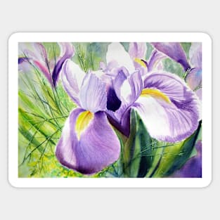 Sundrenched Iris Sticker